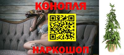 стафф Владивосток
